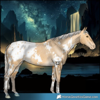 Horse Color:White Spotted Silver Buckskin Dun Appaloosa 