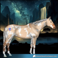 Horse Color:White Spotted Silver Bay Dun