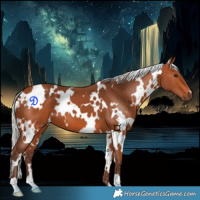 Horse Color:White Spotted Silver Bay 
