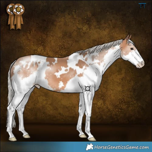 Horse Color:White Spotted Silver Bay Splash 