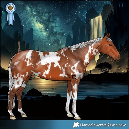 Horse Color:White Spotted Silver Bay 
