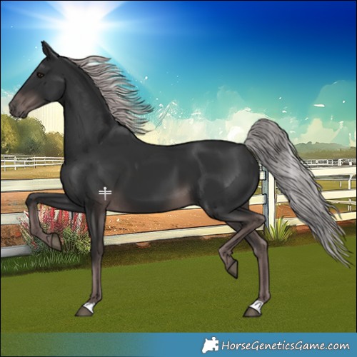 Horse Color:Platinum Liver Chestnut 