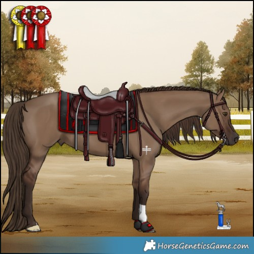 Horse Color:Liver Red Dun 