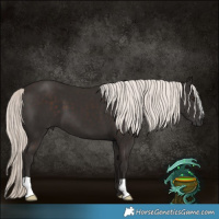 Horse Color:Liver Chestnut Mushroom 