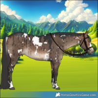 Horse Color:White Spotted Brown Dun Brindle 