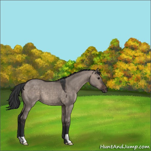 Horse Color:Brown Dun Mushroom 