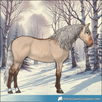 Horse Color:Silver Bay Dun 