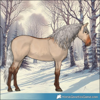 Horse Color:Silver Bay Dun 