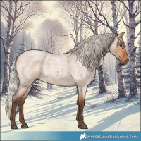 Horse Color:Silver Bay Roan Dun 