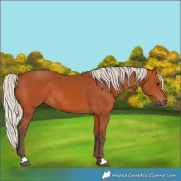 Horse Color:Silver Bay 