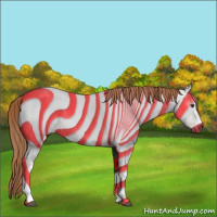 Horse Color:Gray White Spotted Liver Chestnut 
