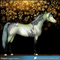 Horse Color:Gray Watercolor Bay Tobiano Rabicano 