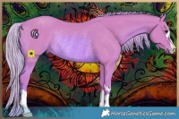 Horse Color:Watercolor Chestnut Rabicano