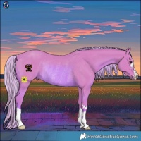 Horse Color:Watercolor Chestnut Rabicano 
