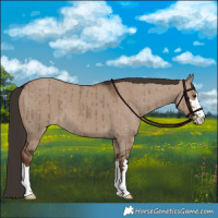 Horse Color:Liver Red Dun Brindle 