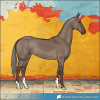 Horse Color:Liver Red Dun Mushroom 