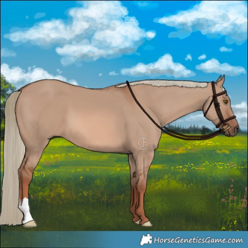 Horse Color:Red Dun Mushroom 