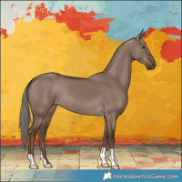 Horse Color:Liver Red Dun Mushroom 