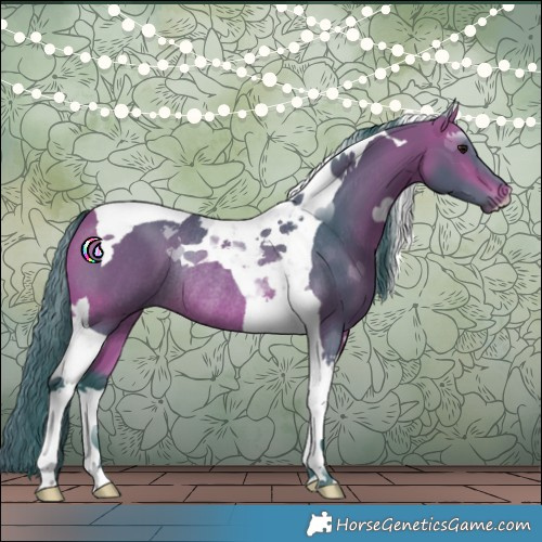 Horse Color:Watercolor Bay Tobiano Rabicano 