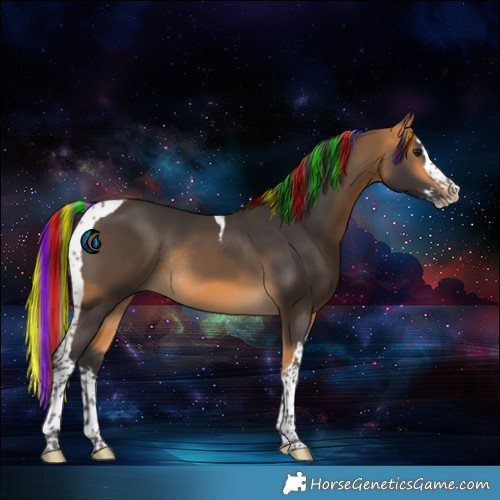 Horse Color:Painted Buckskin Splash Tobiano Rabicano 