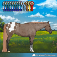 Horse Color:Liver Red Dun Varnish Brindle 