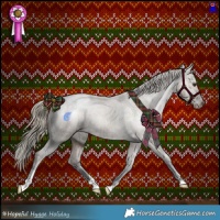 Horse Color:Liver Red Dun Appaloosa Brindle 