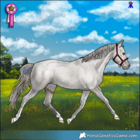 Horse Color:Liver Red Dun Appaloosa Brindle