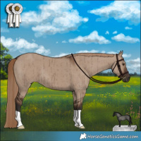 Horse Color:Liver Red Dun Brindle 