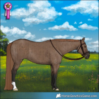 Horse Color:Liver Red Dun Brindle 