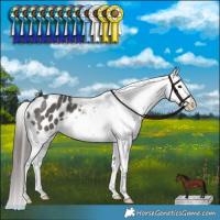 Horse Color:Grullo Appaloosa Brindle 