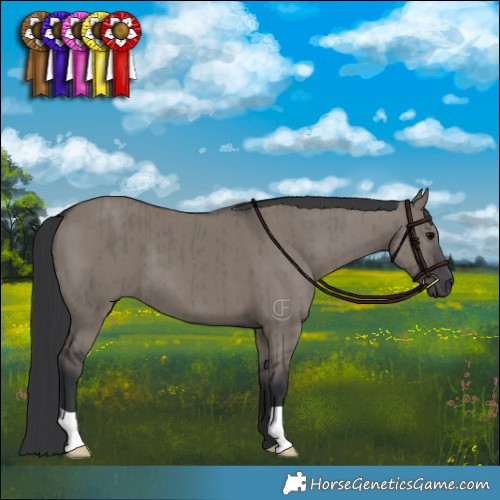 Horse Color:Grullo Brindle 