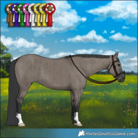 Horse Color:Grullo Brindle 