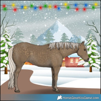 Horse Color:Silver Smoky Black 