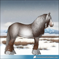 Horse Color:Gray Chestnut 