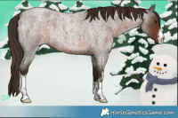 Horse Color:White Spotted Liver Red Roan