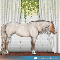 Horse Color:Chocolate Palomino Roan 