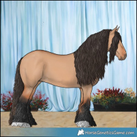 Horse Color:Bay Dun 