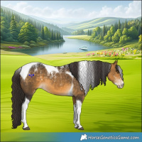 Horse Color:Powder White Buckskin Tobiano