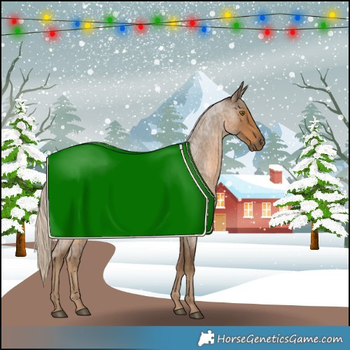 Horse Color:Chocolate Palomino Roan