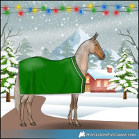 Horse Color:Chocolate Palomino Roan 