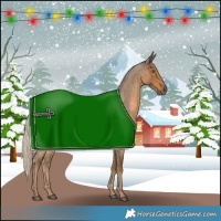 Horse Color:Chocolate Palomino Roan 