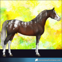 Horse Color:Powder White Liver Chestnut Splash 