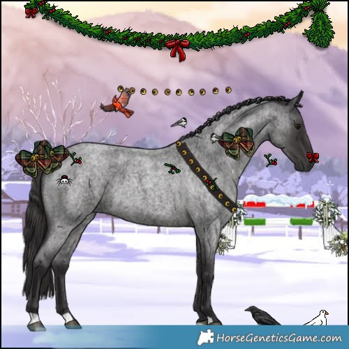 Horse Color:Smoky Blue Roan 