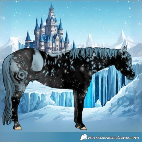 Horse Color:ERROR: UNKNOWN ANOMALY