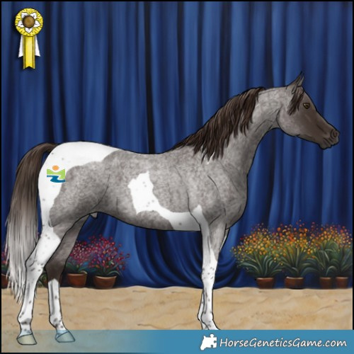 Horse Color:Liver Red Roan Tobiano 