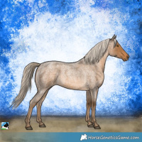 Horse Color:Chocolate Palomino Roan 