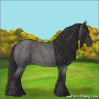 Horse Color:Smoky Blue Roan 