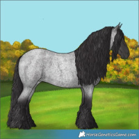 Horse Color:Smoky Blue Roan 