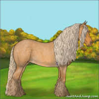 Horse Color:Palomino Roan 
