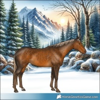 Horse Color:Chocolate Palomino 